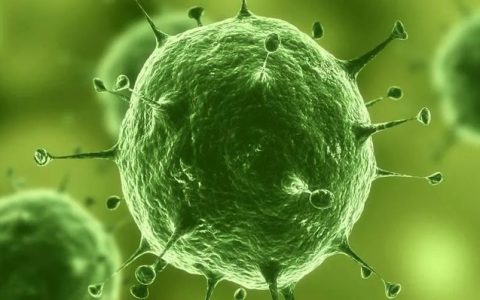 让OpenAi ChatGPT告诉你什么才是身体最强的“打工人（免疫细胞）”