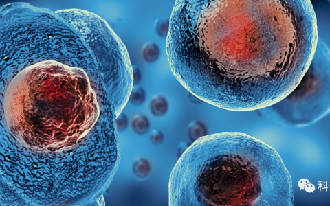 想了解干细胞基础知识，读这一篇就够了！