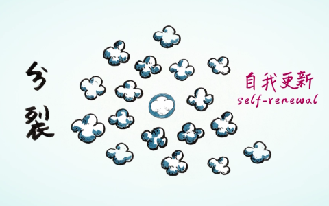 央视《对话》栏目 | 卞修武院士：没有干细胞就没有生命和健康！