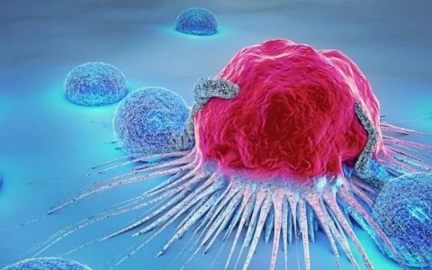 浅谈NK细胞免疫疗法