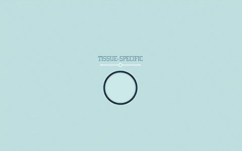 深度好文 | 干细胞是如何在临床应用中发挥重要作用的