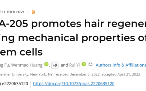 软化毛囊干细胞能促毛发生长