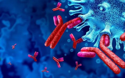 干细胞对人体6大系统的修复作用