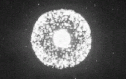 干细胞领域全球布局，中国干细胞研究项目超过860个仅次于美国，排名世界第二位！