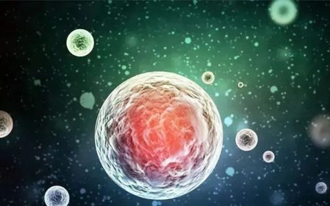 同样是回输干细胞，为何临床疗效却不一样？