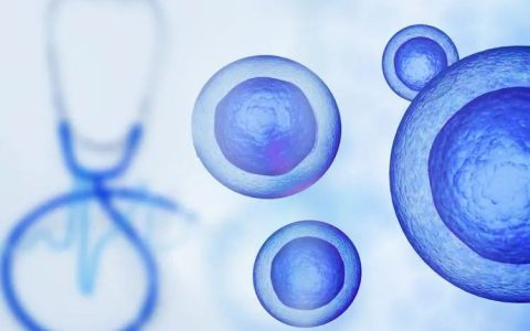 干细胞与抗衰老20问，强烈建议收藏！