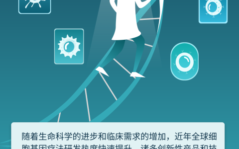 CGT研发全景图解