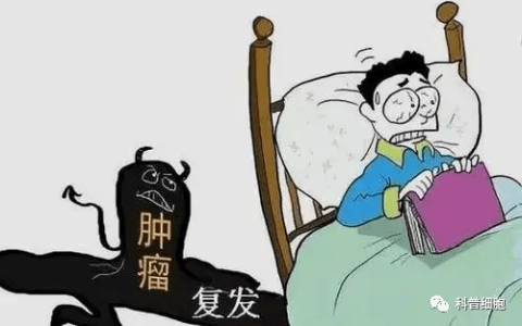 术后及时补充免疫细胞，预防转移，提高生存率