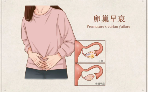 干细胞是“送子观音”还是“智商税”，真能逆转卵巢早衰摆脱更年期吗？