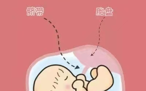 脐带、胎盘来源的干细胞为什么不用配型？还不存在排异反应，看完就都明白了！