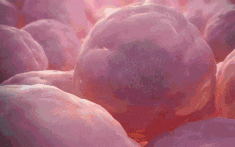 细胞健康=身体健康，干细胞帮助我们抵抗衰老，远离疾病