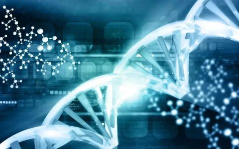 自体NK细胞可明显改善亚健康人群的疲劳、睡眠及生活质量