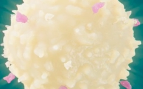 干细胞治疗的副作用：治疗有风险吗？如何避免？