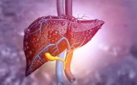 关于间充质干细胞治疗肝衰竭的六问六答
