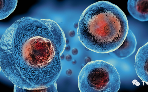 细胞治本，药物治标！干细胞、中医、西医区别在哪里？谁更好？