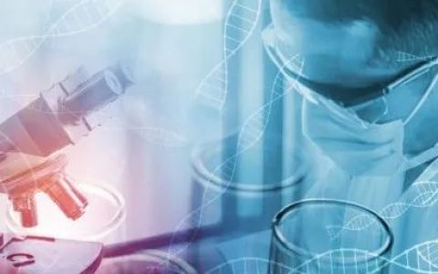 符合GMP要求的细胞库制备要点浅析