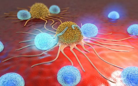 超清大片 | 免疫细胞如何奋勇杀敌？ 微观世界下的震撼“战争”