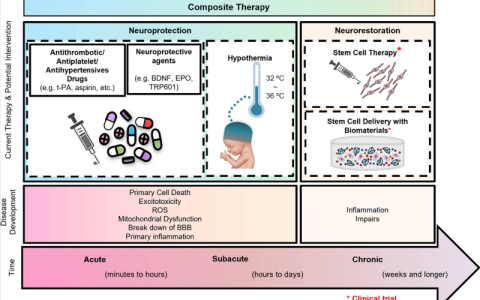 国医大师石学敏院士：干细胞疗法与针刺联合治疗缺血性卒中（穴位疗法的前身）