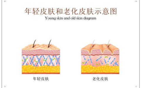 抗衰丨肌肤、免疫、心脑血管，30岁以后看看你将要面对哪些风险！