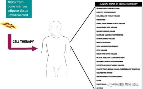 行业报告 | 间充质干细胞的新试验数量呈指数级增长