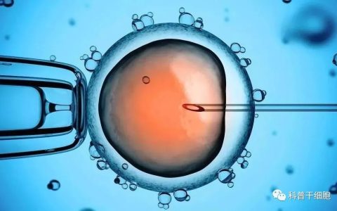 干细胞抗衰，实现真正的年轻态！