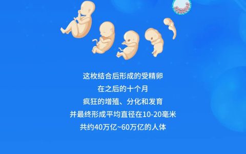 图解：人体，源于细胞，终于细胞！