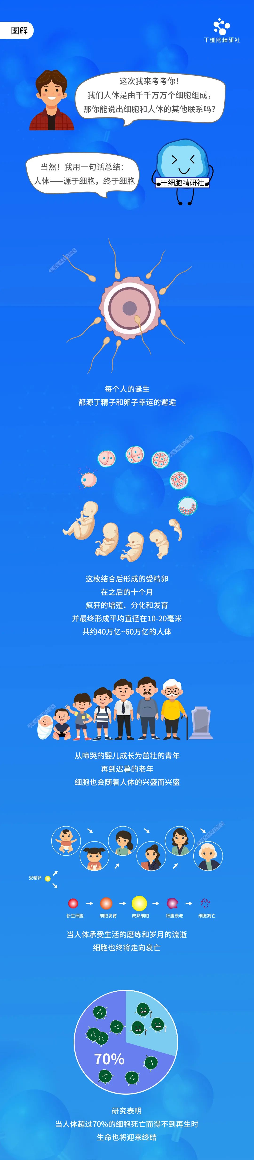 图解：人体，源于细胞，终于细胞！