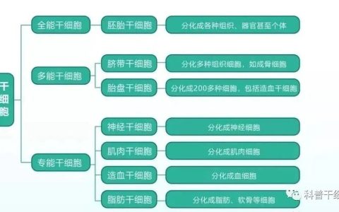 干细胞10个知识点，必读！ | 干细胞是啥？能干啥？……
