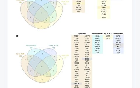 新发现，干细胞卵巢移植会引起女性卵巢储备功能再生康复
