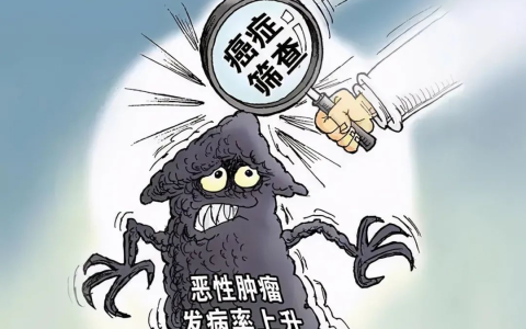 免疫细胞帮你干掉你体内的癌细胞！