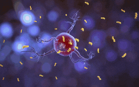 NK细胞在体内游走一周，只需6分钟，“杀敌”迅速可把病毒消灭在“摇篮”中