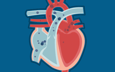 干细胞十问十答