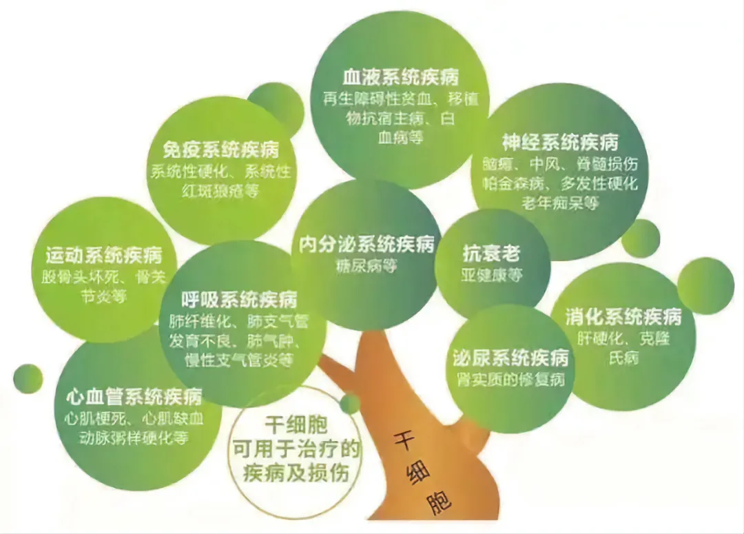 什么样的人群适合干细胞疗法