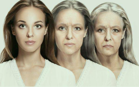 干细胞给身体带来什么变化？五脏六腑年轻化！