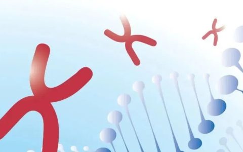 脐带、胎盘来源的干细胞为什么不用配型