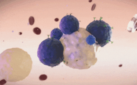 相比西医，干细胞有什么区别和优势？