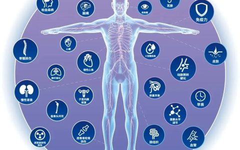 干细胞技术的崛起：未来5至10年，慢性疾病治疗预期翻开新篇章