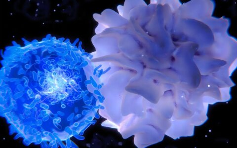 免疫细胞疗法的详细解说（建议收藏）