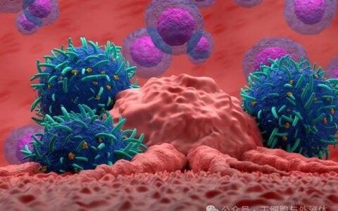 突破NK细胞培养瓶颈：iPS细胞分化体系助力免疫细胞疗法发展