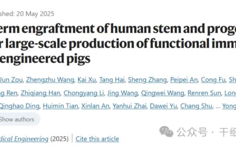 中国科学家新突破：猪体内培育人类免疫细胞或成未来医疗新方向