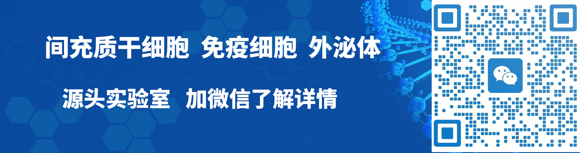 间充质干细胞、免疫细胞、外泌体源头实验室