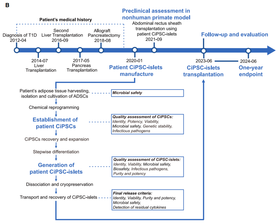 世界首例！中国团队用干细胞疗法治愈1型糖尿病！