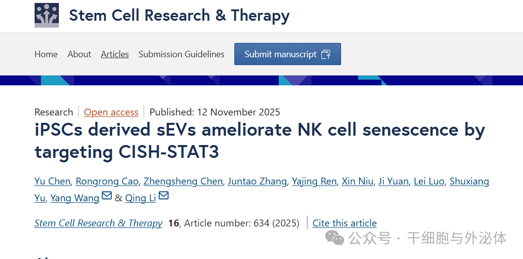 上海交大突破性研究：iPS细胞囊泡让 NK 细胞 “返老还童”，恢复其抗癌功能
