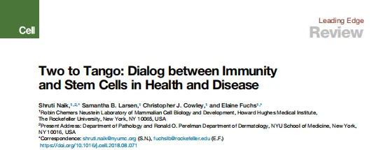 干细胞+免疫细胞：先清理，再修复，人体健康与抗衰的底层逻辑