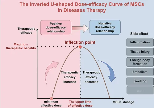 干细胞能逆转卵巢早衰？同济医院权威综述详解5大精准治疗突破！