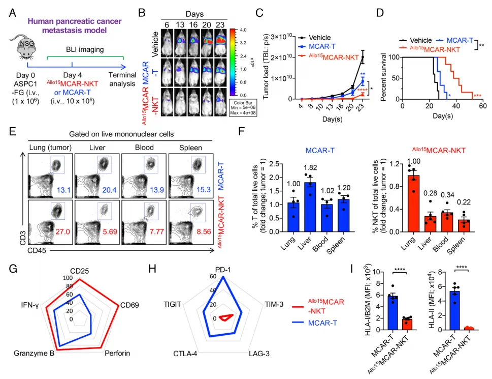 一袋脐带血，千剂细胞药：干细胞技术为“癌王”带来通用免疫细胞治疗新思路
