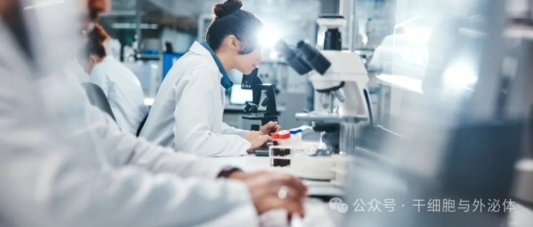 政策红利释放 + 技术里程碑落地！中国细胞治疗领域 2024-2025 爆发式增长，外资入局新机遇与挑战并存