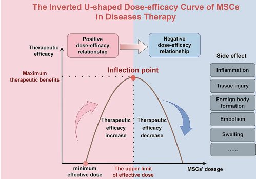 干细胞能逆转卵巢早衰?同济医院权威综述详解5大精准治疗突破!