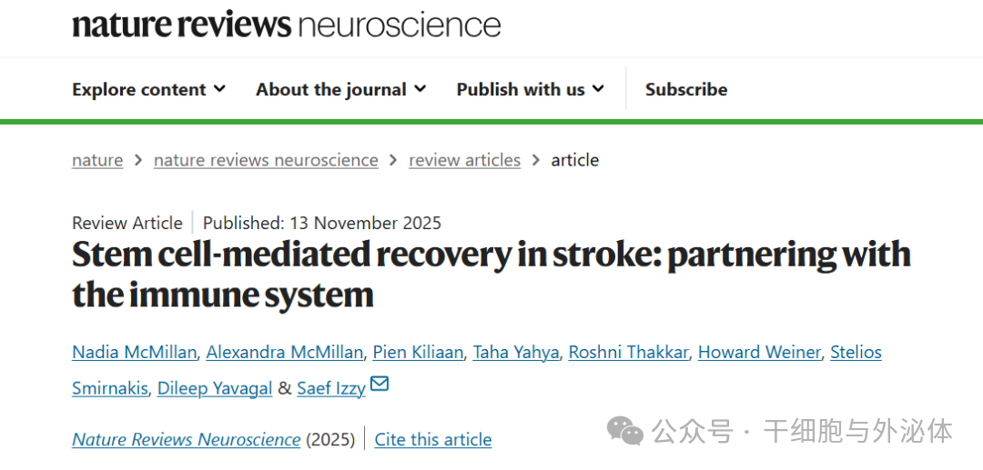 中风治疗迎来新突破！干细胞与免疫系统 "联手" 开启修复新路径