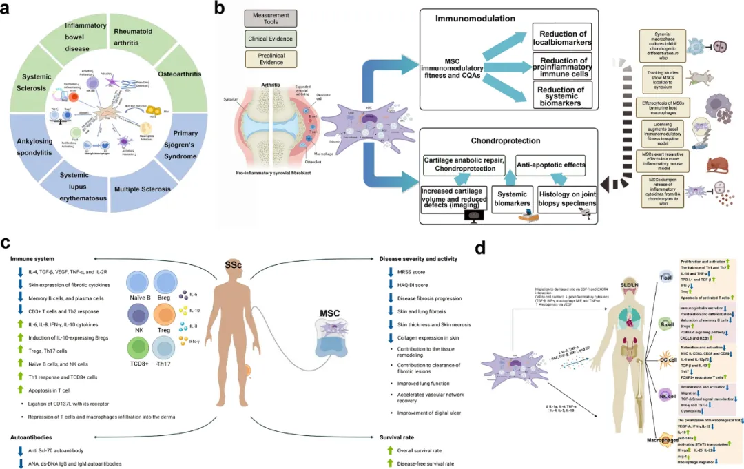 42项研究，2183人验证：干细胞治疗8类自身免疫及风湿免疫病，有效吗？安全吗？